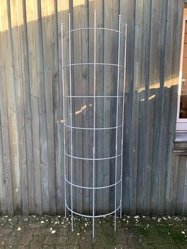 KUHEIGA Rankhilfe halbrund Metall Breite 60cm H:200cm Zink Rankgitter Obelisk Rankgerüst