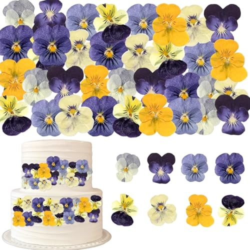 RUGBOL 96 Stück natürlich getrocknete gepresste Blumen, getrocknete Stiefmütterchen für handgemachte Tortendekorationen, Viola für DIY-Bastelarbeiten
