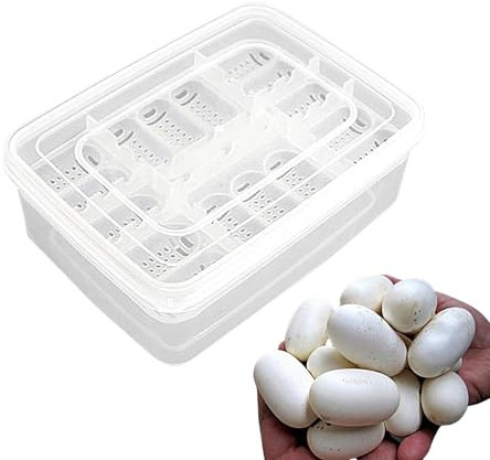 Reptilien-Aufzuchtbox, Reptilien-Brutbox | 16 Gitter transparenter Eierbrutkasten - Brutkasten, Bruttablett, Brutkasten für Gecko, Löwenmähne
