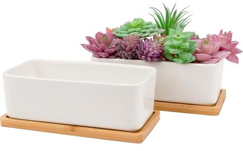 Leismy 2 PCS Succulent Pot Cactus Containers White Ceramic Planter with Drainage Hole and Removable Tray Small Plant Pots for Home Office Decor Bonsai Container for Indoor Outdoor Plants (Rectangle)