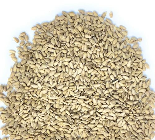 Il Contadino - Antichi Sapori | SEMI DI GIRASOLE DECORTICATI | Confezione Salva Freschezza, Frutta Secca di Qualità Premium, No Conservanti, Al Naturale (500g)