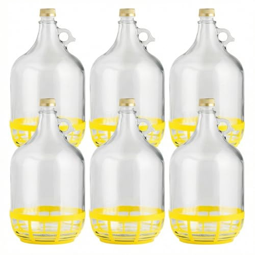 lilawelt24 6 x 5L Glasballon (Gallone) mit Rundgriff, Schraubverschluss & Schutzkorb - Glasflasche mit Henkel für Wein, Gärung & Saft