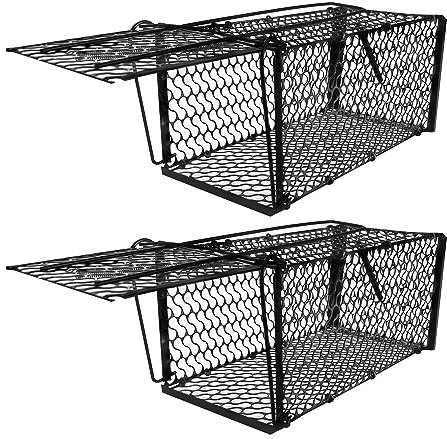 RAT CATCHER SPRING CAGE TRAP HUMANE LARGE LIVE ANIMAL RODENT INDOOR OUTDOOR CATCH LIVE MICE & RATS INDOORS OUTDOORS TRAPS REUSUABLE LARGE MOUSE SQUIRREL TRAPS (Two Traps)