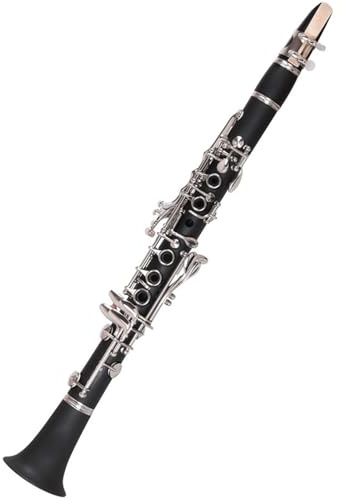 Silberne Klarinette Es Klarinette Ein Hohes Instrument