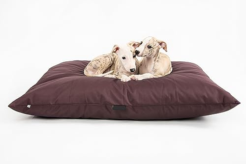 4 l textil ZOE hundkudde vattentät med överdrag hundbädd vattenavvisande hundkudde medelstora hundar tvättbar hundsäng medelstora hundar (80 x 60 cm, brun)