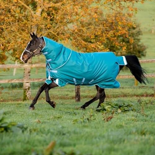 Horseware® Amigo® Bravo 12 Plus Turnout (400g schwer)