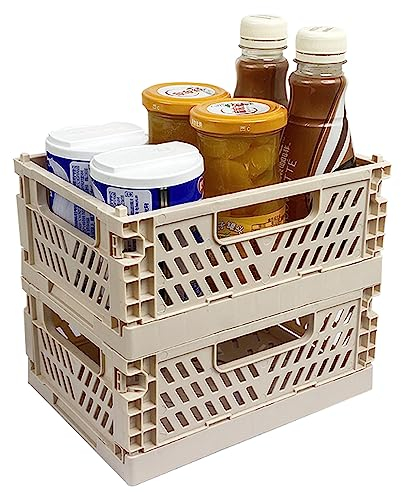 RHBHY Cassetta Plastica Pieghevole Cestini Portaoggetti Scatola Pieghevole 2pz mini Cassa di Immagazzinaggio Organizer per contenitori impilabili Salvaspazio per Piccoli Oggetti e Cosmetici (Nudo)