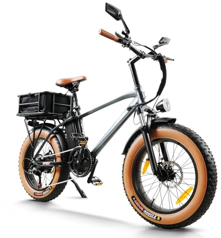 HANEVEAR E Bike Herren Damen, 18Ah/48V Batterie E Fatbike, 250W Motor & 80Nm, Reichweite bis 80-120 km, E-Mountainbike 20x4.0'' Offroad EBIKE für Jedes Gelände, mit LCD-Display