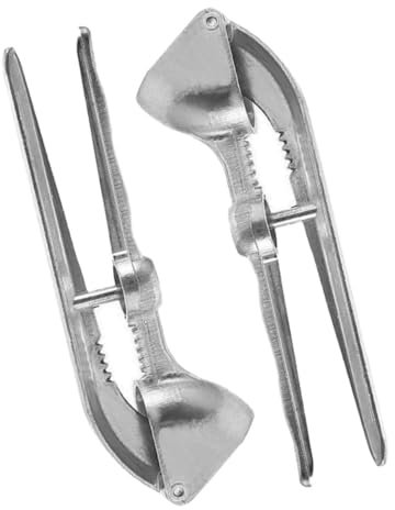 CIYODO Presse-Ail Manuel en Alliage d'Aluminium 2Pcs Outil Cuisine Ergonomique Rouille Broyeur d'Ail pour Cuisines Familiales et Restaurants