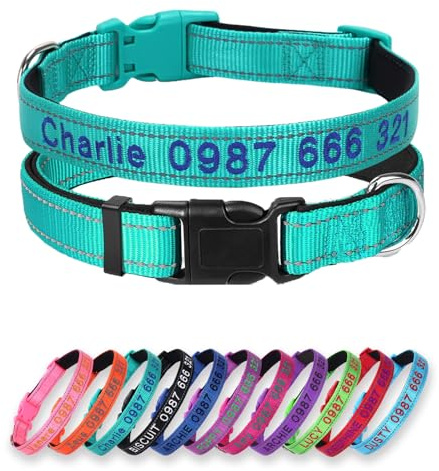 Personalisierter Hundehalsband mit Neopren‑Polsterung,Bestickt,Türkis | Individuell bestickter Name Schnellverschluss‑Schnalle, atmungsfestes robustes Nylon, verstellbar für alle Hundegrößen