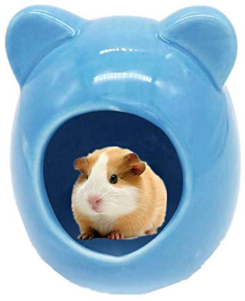 hasenhaus Hamster zubehör Hamster zubehör Hamster Hamster Spielzeug Gerbil Spielzeug Guinea Pig Haus 9.8cm,Blue