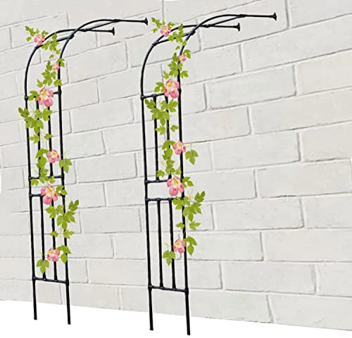 DJZZ Schwarz Halbbogen halbrund Rosenbogen Rost Rankhilfe Torbogen aus Metall stabil breit 60-300 cm Höhe 240cm verziert (Größe : 150x240cm)
