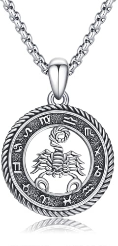 PARYFO 12 Sternzeichen Anhänger Halskette 925 Sterling Silber Oxidiert/Gold Anhänger Sternzeichen Kette Astrologie Schmuck Geburtstag Geschenke für Männer Frauen, mit Edelstahlkette