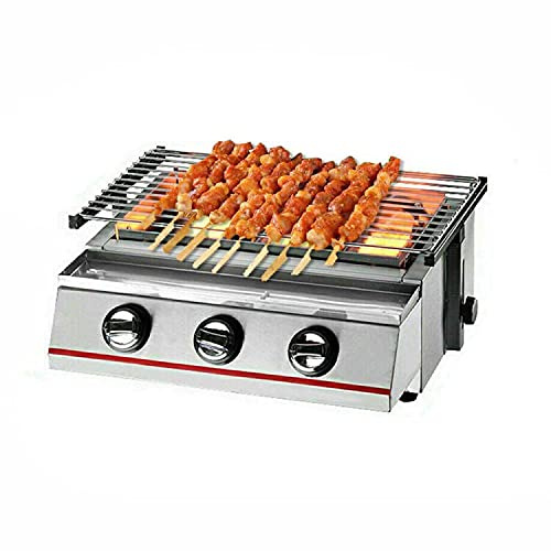 Barbecue à gaz portable – Barbecue de table à 2 brûleurs en acier inoxydable au propane pour camping, pique-nique et utilisation en extérieur