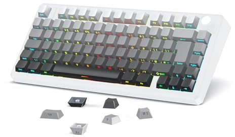 OMOTON Side Print PBT Keycap Set ANSI/ISO UK-Layout, White Grey gradient | 127 Keys, Double Shot, Shine Through Custom Keycaps for 61/68/84/87/96/108 MX Switches Keyboards
