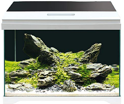 AMTRA MODERN TANK 40 LED - Acquario completo di illuminazione LED e filtro interno / cm 42,5x23,5x36,5 / 28 Litri
