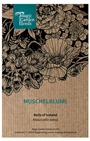 Muschelblume/Glocken von Irland (Moluccella laevis) - ca. 70 Samen der dekorativen Schnittblume/Trockenblume/einjährige Sommerblume für den Garten/Steingarten