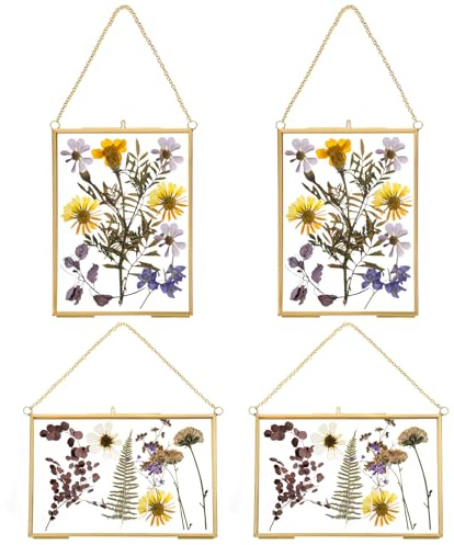 4 Pcs Pressed Flower Glass Picture Frames 6 x 4 Inch Brass Hanging Double Glass Frame Gold Floating Photo Frame Clear Horizontal Vertical Frames with Chain for Gallery Vintage Artwork Display