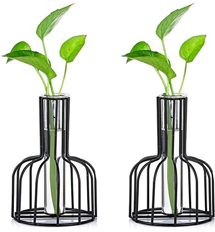 Glass Propagation Station with Metal Frame, Set of 2 Black Flower Vase, Test Tube Vases for Hydroponic Plant, Small Bud Vase for Home Kitchen Office Table Top Decor, Black