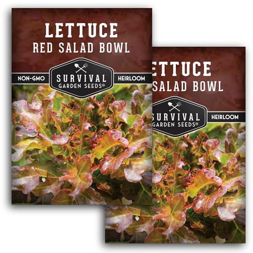 Red Salad Bowl Lettuce Seeds for Planting - Red Leaf Looseleaf Lettuce Seeds for Outdoor Gardens, Heat Tolerant High Yield Heirloom Non-GMO Variety - Survival Garden Seeds (2 Packs)