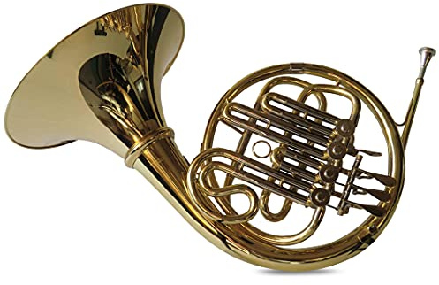 SYMPHONIE WESTERWALD Waldhorn/French Horn in Bb, Gold/Silber, inkl. Luxus-Hartschalenkoffer und Waldhörner Zubehör