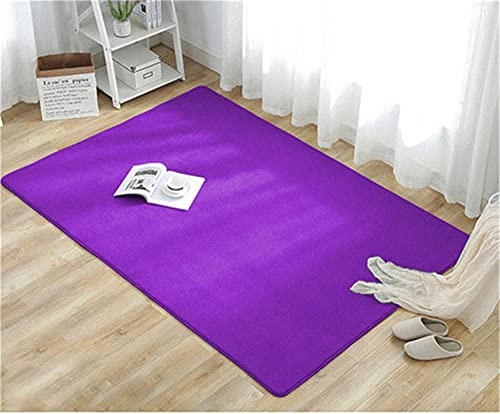 Alfombra de Terciopelo Coral Grueso de Color sólido Calidad Púrpura brillante Suave Lavable Antideslizante Grande Rugs Minimalista Moderna Sala De Estar Dormitorio Tatami Gateando Estera -100×200cm