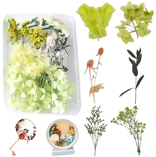 LaresDay Trockenblumen-Set zum Basteln – Natürliche Deko für Kerzen, Hochzeit & Scrapbooking mit getrockneten Blumen, DIY Handwerk Heimdekoration,Geschenkverpackung ，100% Getrocknete Blumen (Grün)