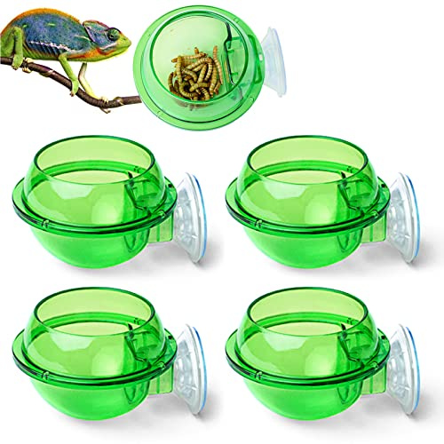 Guador 4 pezzi Ciotola per acqua cibo per rettili, ventosa per rettile Ciotola per mangiatoia per rettili Ciotola per camaleonte Ciotola per rettile traslucida Mangiatoia da parete per lucertola