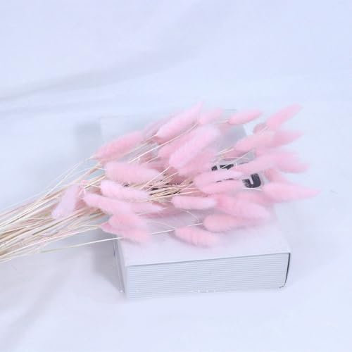 Tashace Hochzeitsdeko, natürlicher Trockenblumenstrauß, 61 cm, Hasenschwanzgras, Blumenstrauß, 120 Stück, getrocknetes Pampasgras for Zuhause, rustikale Party-Dekorationen, Babyparty(Pinks)