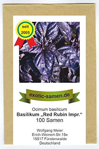 Basilikum Red Rubin improved - rot/blau - sehr aromatisch - 100 Samen
