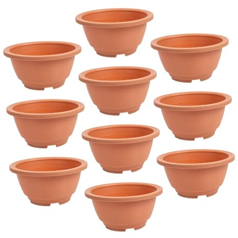 SEWOART Macetas Pequeñas Diseño Sencillo y Fácil de Limpiar de Plástico Abs, Paquete de 10 Piezas para Suculentas Ideales para Jardinería y Trasplante