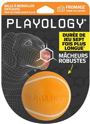 Playology Squeaky Chew Ball Dog Toy - Medium, Cheddar Cheese Scent