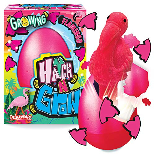 Hatch 'N' Grow - Flamant Rose de Deluxebase. Oeuf 11 cm à Faire éclore & Grandir avec Jouet Oiseau. Magique, placez ce Jouet dans l'eau pour Le Voir se tranformer, pour Les Filles et Les garçons
