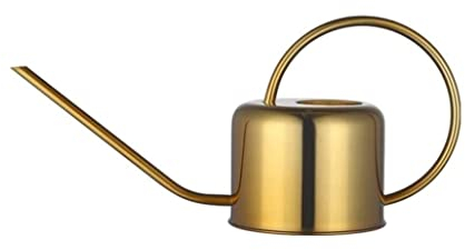 Sprühflasche Pflanzen Gießkanne Beregnungskanne Edelstahl Gießkanne Gartenarbeit Topf Für Die Bewässerung Von Pflanzen Blume Beregnungskanne Giesskanne (Color : Gold, Size : 1L)