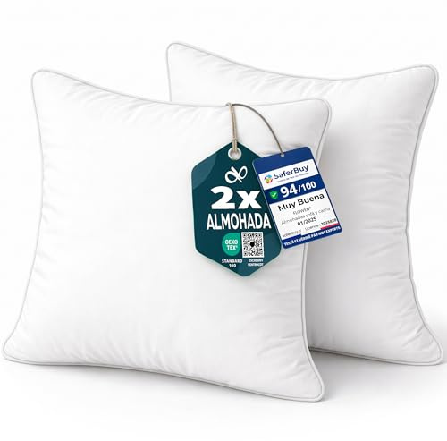 Flowen Coussin Canape 45x45 Lot de 2 Oreillers Decoratif Accessoires pour Sofa Decoration Aesthetic pour Salon et Exterieur Antiallergiques et Anti-Acariens avec Taie d'oreiller en Microfibre