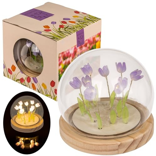 MIJOMA LED Mini Deko-Leuchte Tulpe – Glasdom mit Holzsockel – 10x10 cm – batteriebetriebene Tischleuchte – warmweißes Licht – stilvolles Wohnaccessoire (Violett)