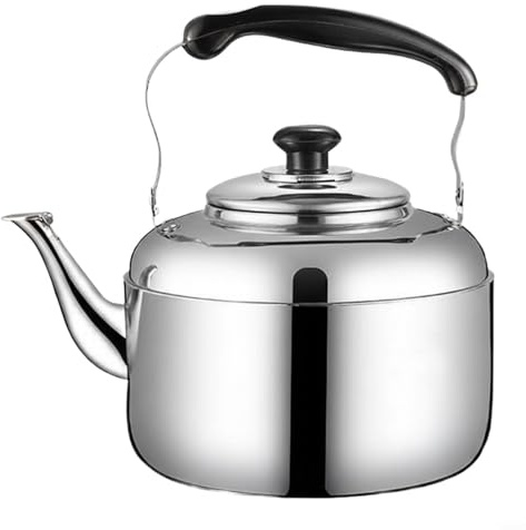EffiFish Bouilloire sifflante en acier inoxydable, pour cuisinière à induction et à gaz, capacité multitaille, poignée résistante à la chaleur (24 cm)