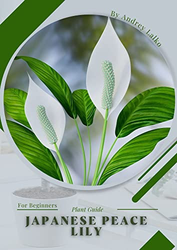 Japanese Peace Lily: Plant Guide