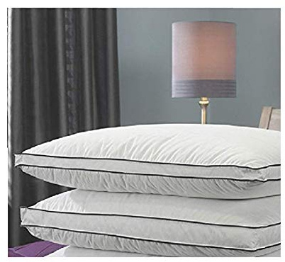 Single 100% White Hungarian Goose Down Pillow By Viceroybedding