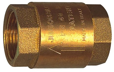 RIEGLER 103879-227.45 Rückschlagventil, reduzierter Durchgang, G 1 1/2, 20 mbar, 1Stk