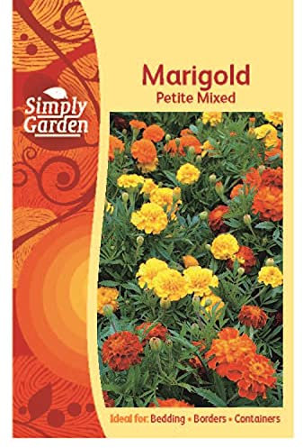 Simply Garden Marigold Petite Mixed Flower Seeds Grow Your Own Flowers Plants