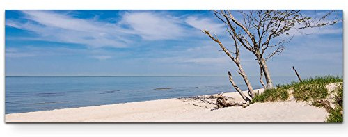 Leinwandbilder | Bilder Leinwand 120x40cm Baum am Strand – Ostsee