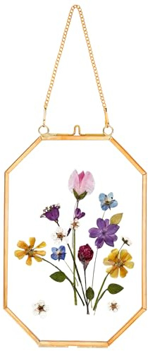 REDHUGO Pressed Flower Frames, Glass Frames, Octagon, Gold, 4x6 Inches | Floating Frames for Display Dried Plant Specimen Picture, Hanging Brass Photo Frame with Chain, Double Glass, Vintage Wall
