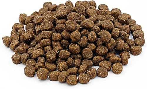 5kg Maltby's Premium Puppy with Chicken Wheat Free Complete Food
