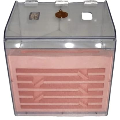 AZHKJKZH Ameisen Terrarium Ameisenfarm Aus Gips Und Acryl Mit Großer Kapazität, Ameisenbetrachtungs-Lebensraum, Villa, Pädagogisches Lernset Ameisenfarm Zubehör