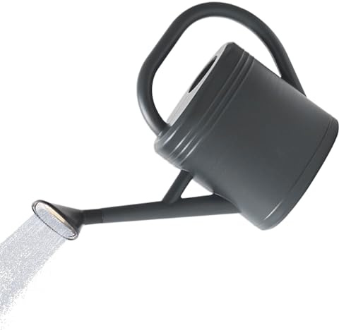 Carafe d'arrosage portable amovible avec bec long 3 l pour jardin, jardin, patio, terrasse, pelouse, parc extérieur