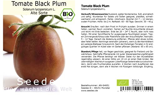 Seedeo® Tomate Black Plum (Lycopersicum L.) 20 Samen BIO