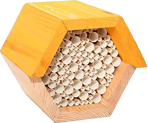 Esschert Fallen Fruits WA55 BEE Haussechskant, Braun