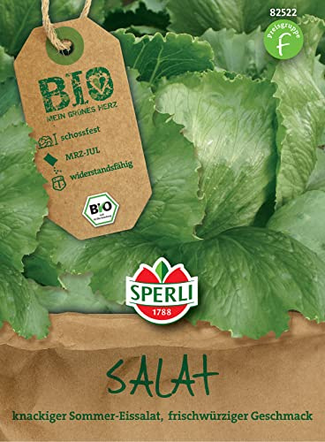 Sperli 82522 BIO Eissalat, eignet sich für den Sommeranbau, schossfest und widerstandsfähigkeit, lange erntbar