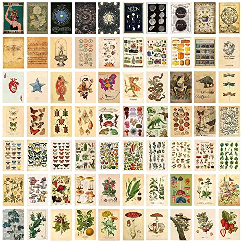 TYFYH 70 Stück Vintage Botanical Wall Collage Kit Aesthetic Wandcollagen Set Indie Room Décor Vintage Wall Collage Kit für Wohnheim-Dekor, Wandkunstdrucke, Ästhetische Foto-Display